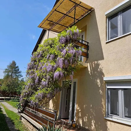 아파트 In 18536 *