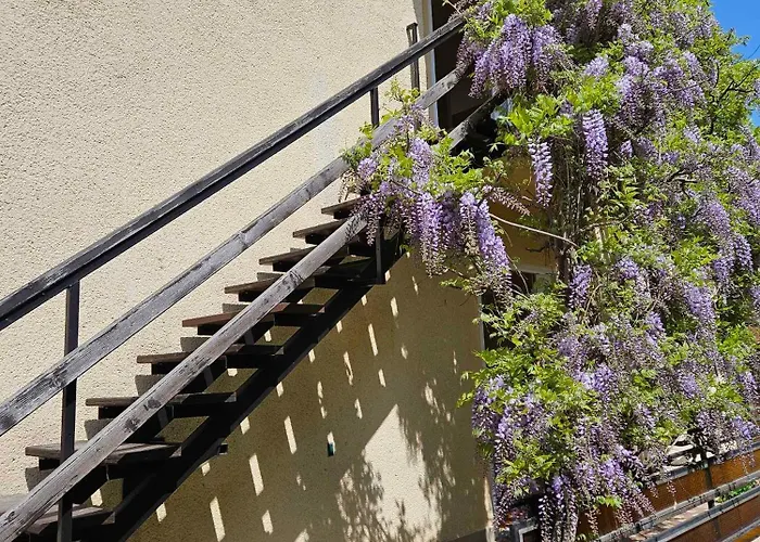 Appartement In 18536 Balatonföldvár